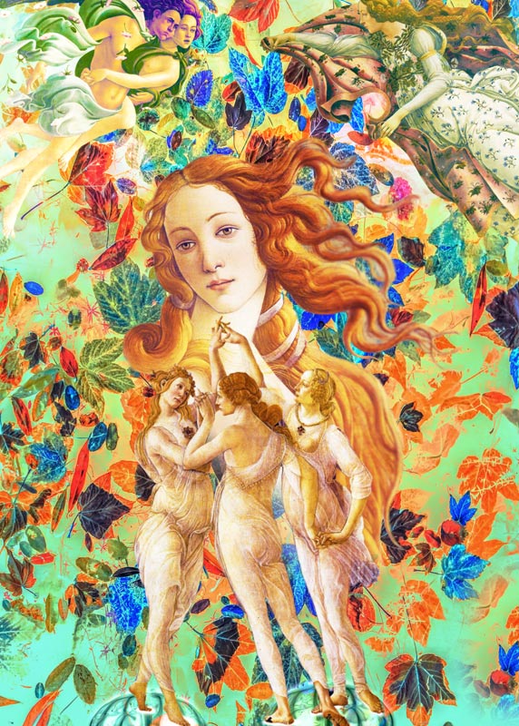 Primavera Collage Botticelli Venus von Stephan  Rossmann