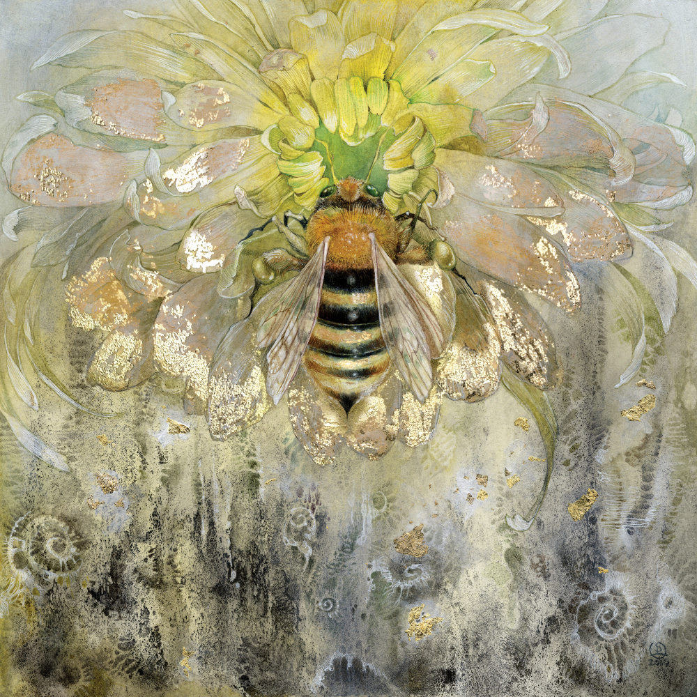 Honigbiene von Stephanie Law