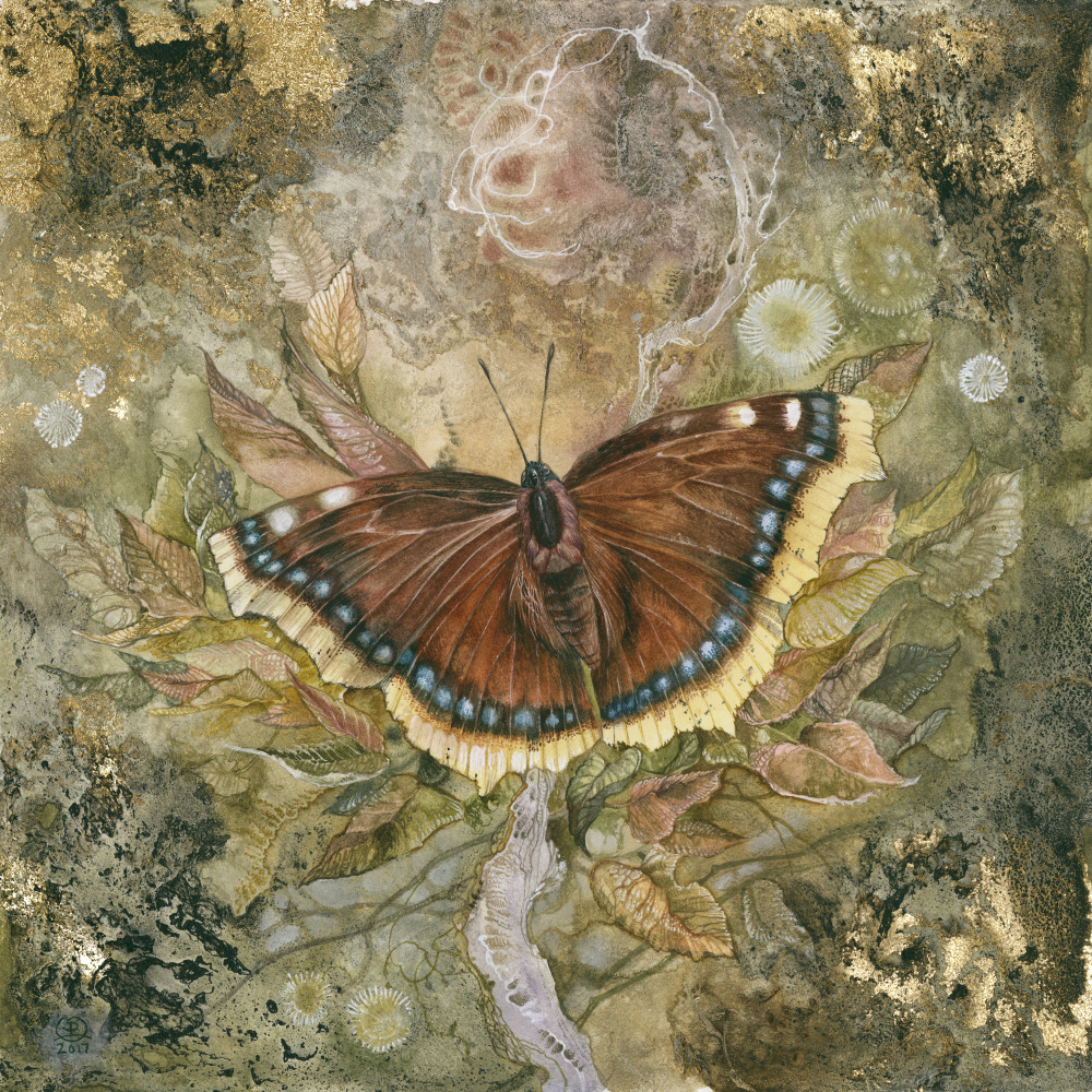 Trauermantel Schmetterling von Stephanie Law