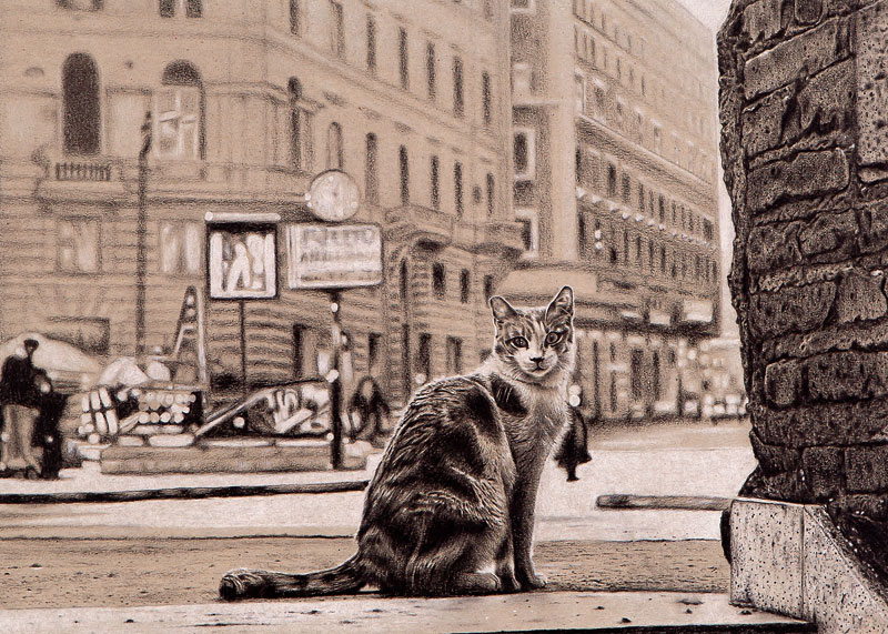 Katze in der Großstadt von Stephen Langhans