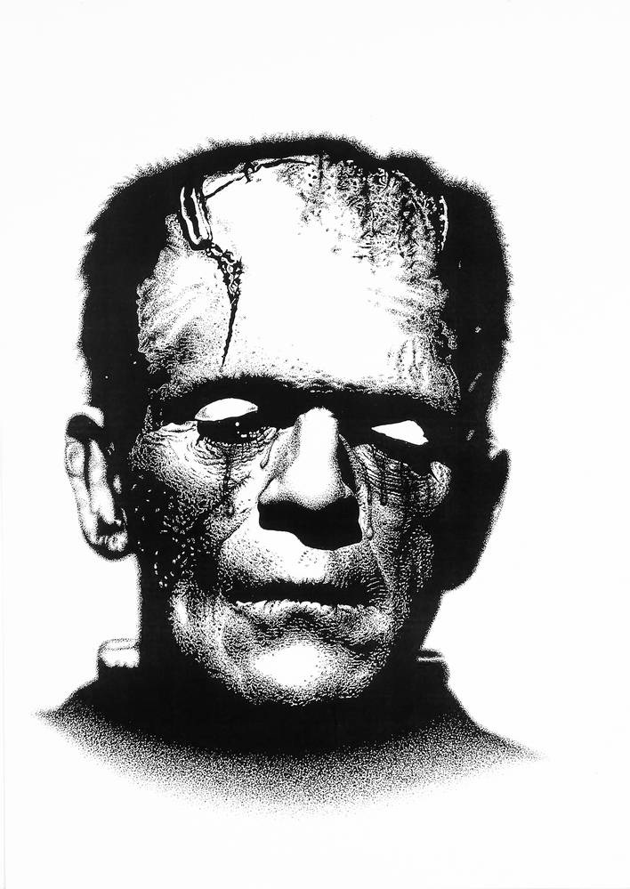 Ein trauriges Monster Frankenstein von Stephen Langhans