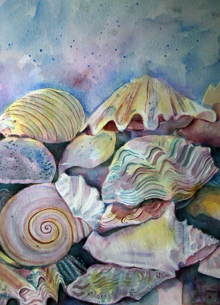 Shells von Mary Stubberfield