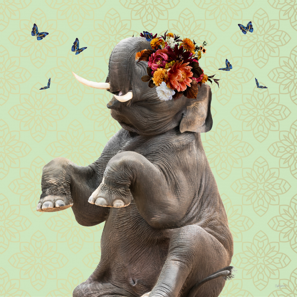 Frühlingsblumenhaube auf Elefant von Sue Skellern