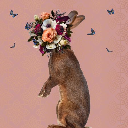 Frühlingsblumenhaube auf Kaninchen