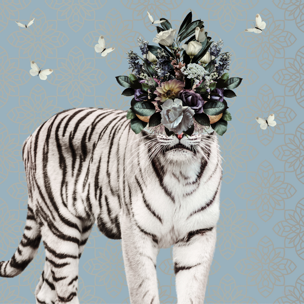 Frühlingsblumenhaube auf weißem Tiger von Sue Skellern