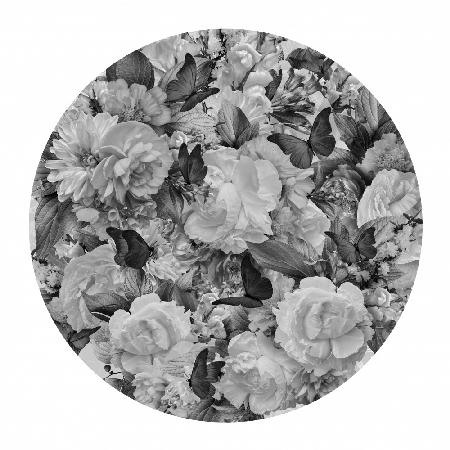 Morgenblüten Schwarz-Weiß