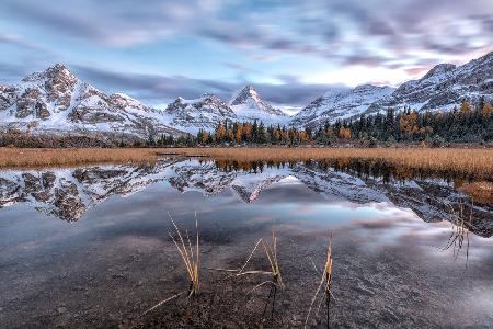 Stellen Sie sich Mt. Assiniboine vor