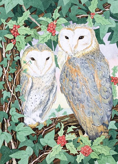 Barn Owls  von Suzanne  Bailey