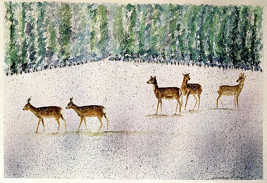 Deer in Snow  von Suzi  Kennett