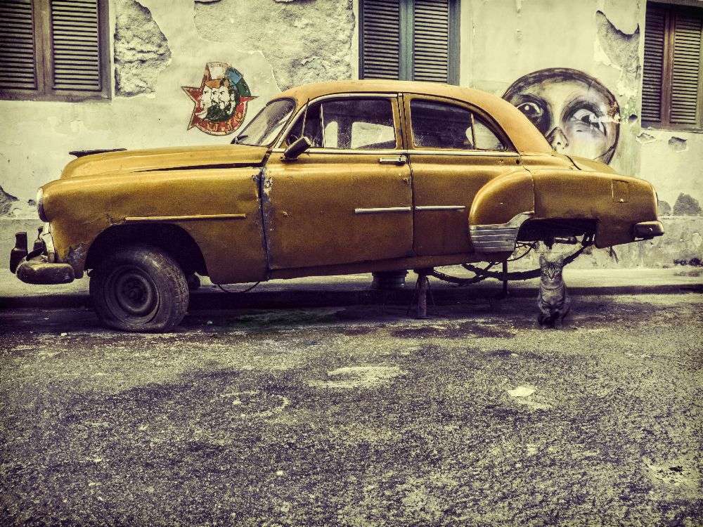 Altes Auto / Katze von Svetlin Yosifov