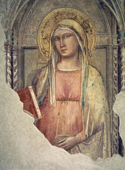 Madonna del Parto von Taddeo Gaddi