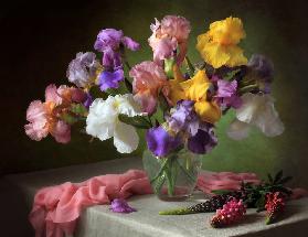 Mit einem Bouquet von Iris und Blumen Lupine