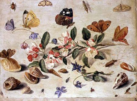 A Study of Flowers and Insects von the Elder Kessel