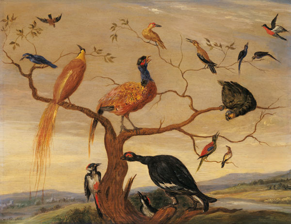 A Concert of Birds von the Elder Kessel