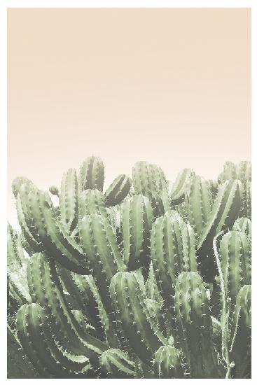 Boho-Kaktus Nr.4