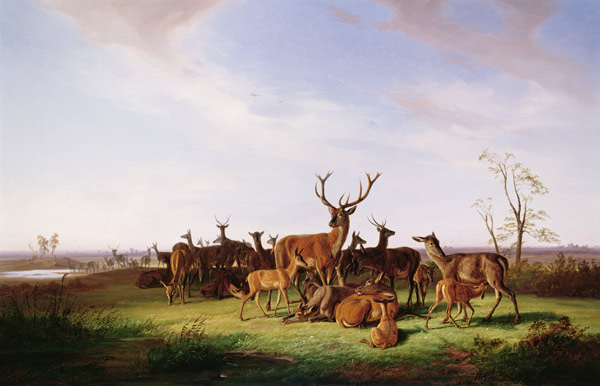 A Herd of Deer in a Sunlit Pasture von Theodor Julius Kiellerup