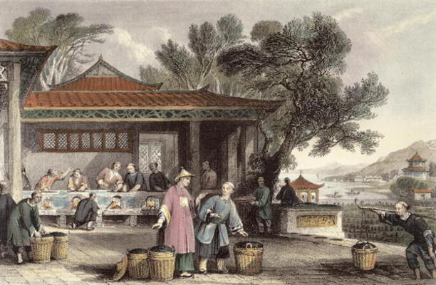 The Culture and Preparation of Tea, from 'China in a Series of Views' by George Newenham Wright (c.1 von Thomas Allom