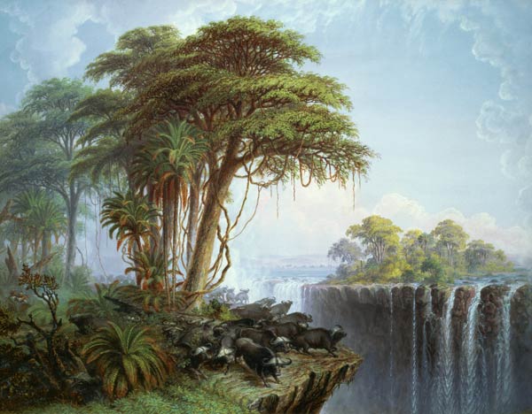 Buffalos Driven to the Edge of the Chasm opposite Garden Island, Victoria Falls von Thomas Baines