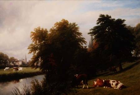 Cattle Grazing by a River von Thomas Baker