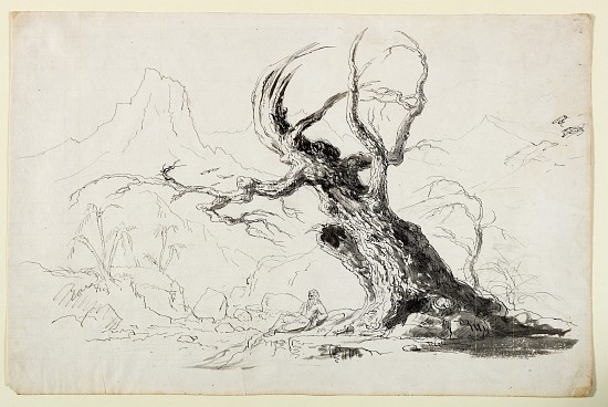Large Gnarled Tree with Bearded Man Seated Below von Thomas Cole