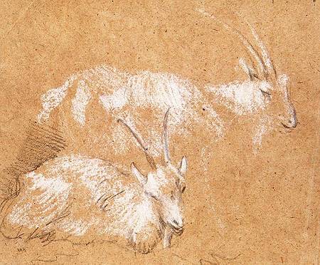 Study of Goats von Thomas Gainsborough