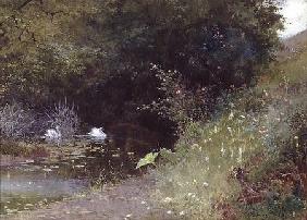 Swans on a Lake 1889  and
