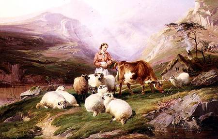 Cow and Sheep on a Mountain Pasture von Thomas Sidney Cooper