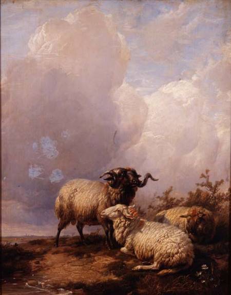 Sheep in Landscape von Thomas Sidney Cooper