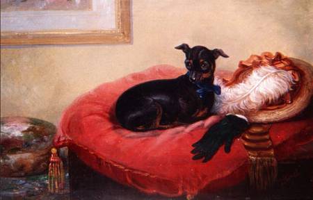 Her Favourite Pet: a Manchester Terrier on a red cushion von Thomas Smythe