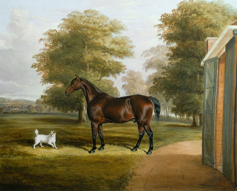 A Bay Horse with a Terrier von Thomas W. Bretland