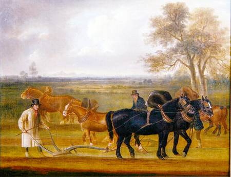 Cruckton ploughing match with four teams of horses von Thomas Weaver