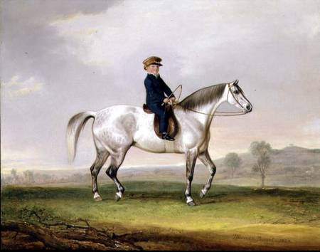 Master Edward Humphries on his Grey Pony von Thomas Weaver
