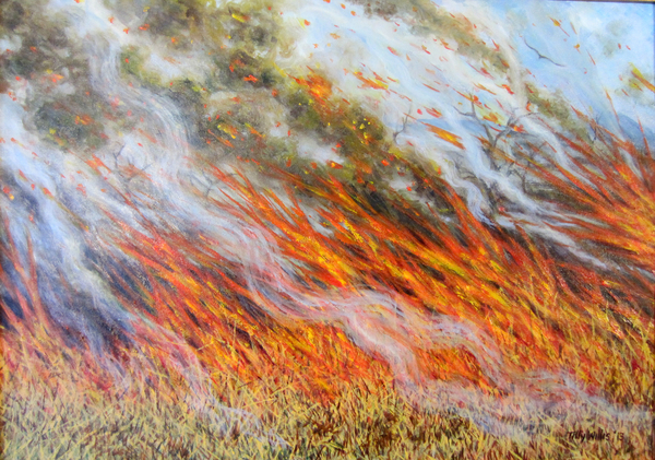 Bushfire Inferno von Tilly  Willis