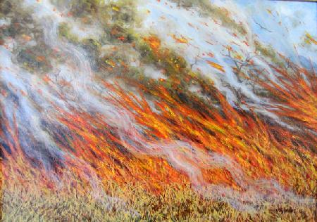 Bushfire Inferno 2014