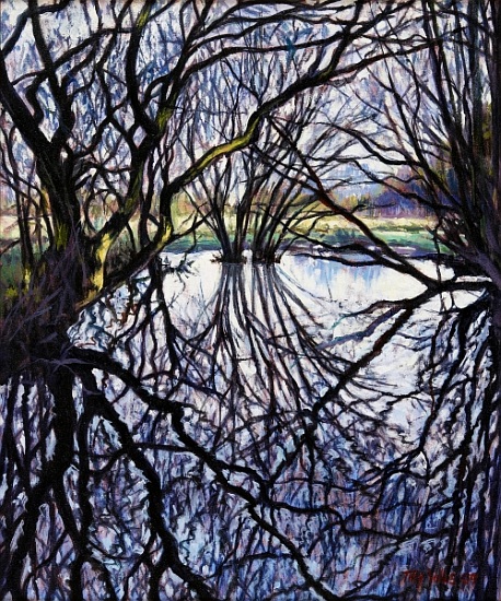 Pond Reflections von Tilly  Willis