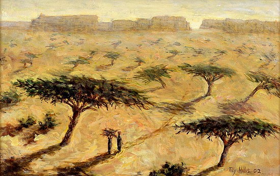 Sahelian Landscape, 2002 (oil on canvas)  von Tilly  Willis