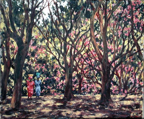 The Cashew Wood, 1998 (oil on canvas)  von Tilly  Willis