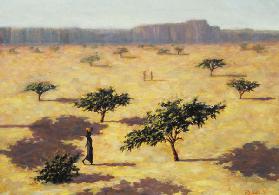 Sahelian Landscape, Mali 1991