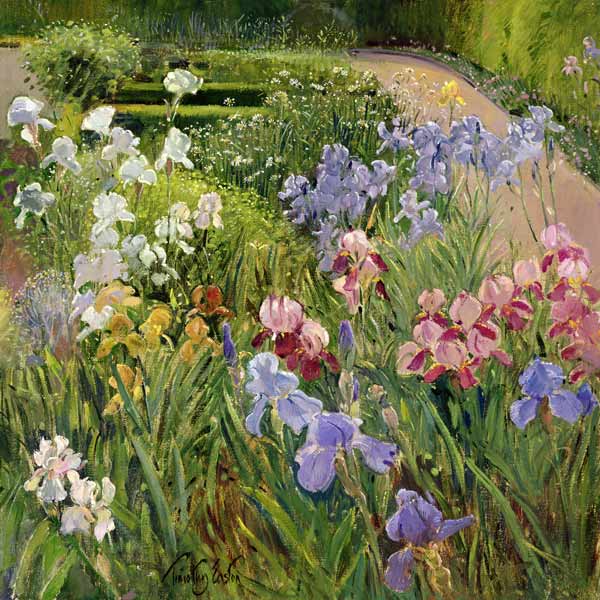 Irises at Bedfield von Timothy  Easton