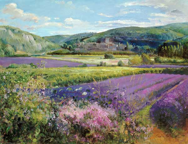 Lavender Fields in Old Provence (oil on canvas)  von Timothy  Easton