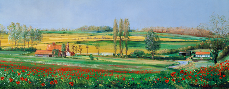 Poppy Field and Poplars  von Timothy  Easton