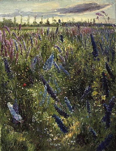 Delphiniums and Emerging Sun von Timothy  Easton