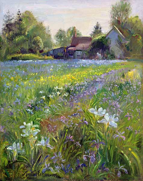 Dwarf Irises and Cottage, 1993  von Timothy  Easton