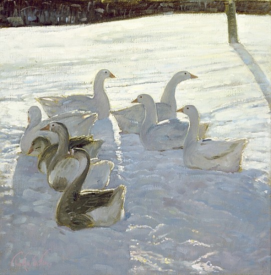 Geese Against the Light (oil on canvas)  von Timothy  Easton
