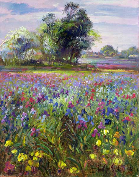 Irises and Distant May Tree, 1993  von Timothy  Easton