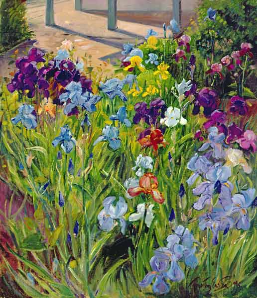 Irises and Summer House Shadows, 1996 (oil on canvas)  von Timothy  Easton