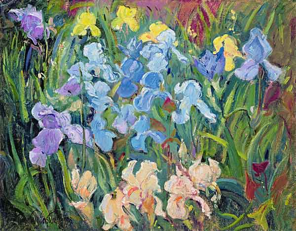 Irises: Pink, Blue and Gold, 1993  von Timothy  Easton