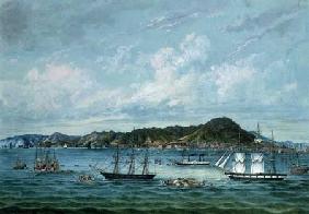 View of Hong Kong c.1860