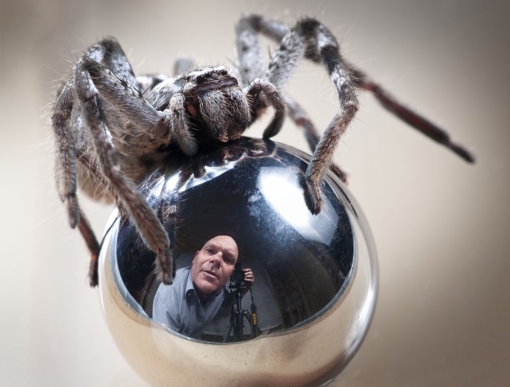 Selbstporträt mit Spinne von TJ Millar