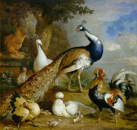 Peacock, Peahen and Poultry in a Landscape von Tobias Stranover